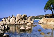 泰达主场受挫，球队将如何调整策略应对未来比赛？的简单介绍